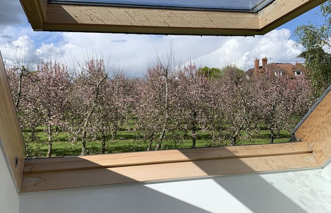 Dragon Orchard Retreat - Photo 40