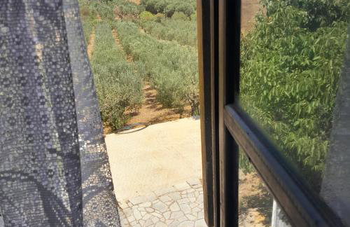 Costa Mama VIlla - Photo 26