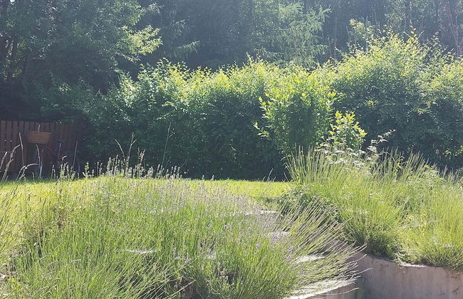 Appartment, Wieliczka by Cracow - Photo 19