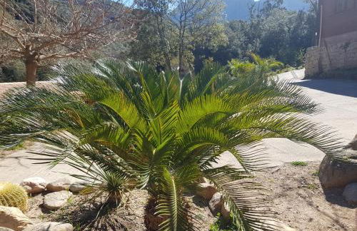 Casa Del Torrente - Foto 29