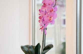 Kiel, renovierte Innenstadtwohnung, 24h Check-in, 2 kostenlose Fahrräder - Photo 26