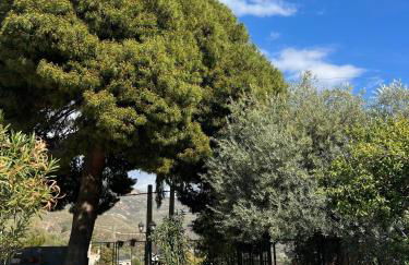 Huerta La Niña Arenas - Foto 38