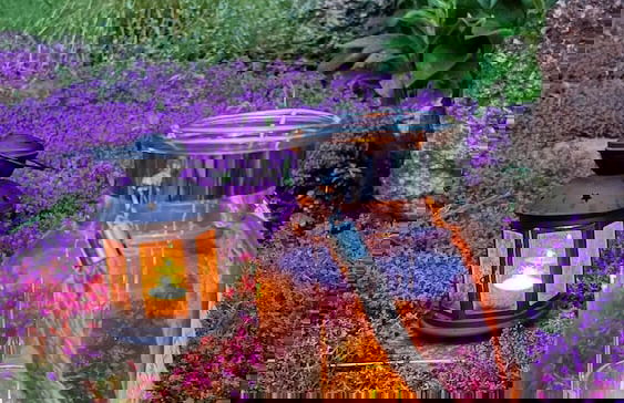 Lucany nad Nisou - Lla560 - Photo 17