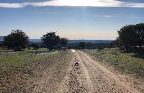 LA OLMA apartamentos - Foto 27