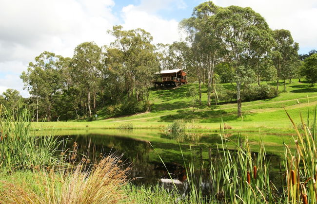 Cedars Mount View - Photo 48