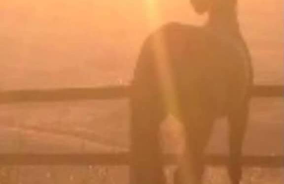 Ridocco Agriturismo - Photo 17