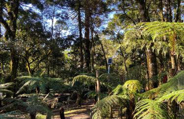 Pousada Alpes da Araucárias - Foto 8