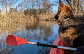 JZ Guest Ranch - Foto 16