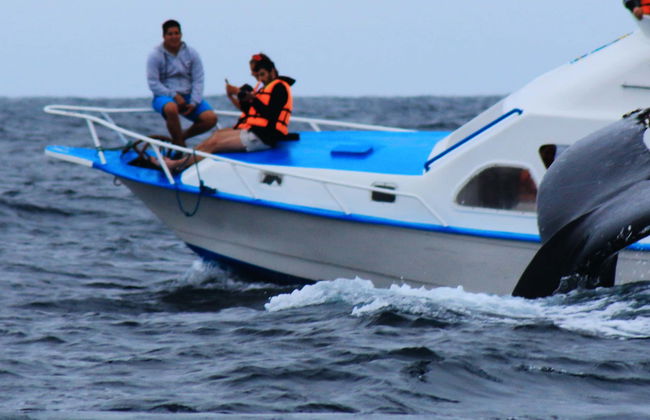 Beginner Scuba Diving - Foto 8