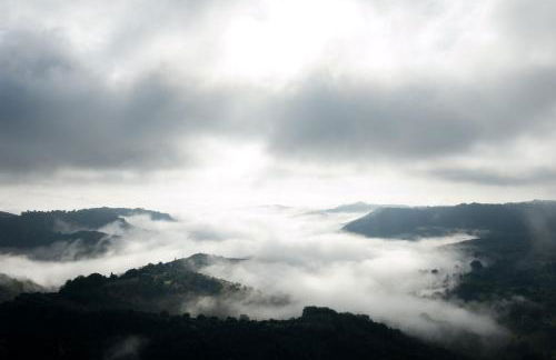 Palazzo Contino - Foto 54