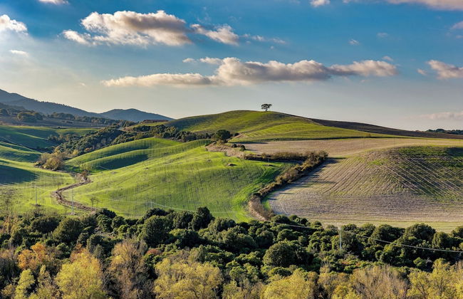 Fico Family Apt Shared Pool,volterra - Foto 12