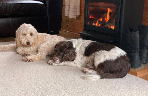 Ben Lomond Lodge - Foto 34