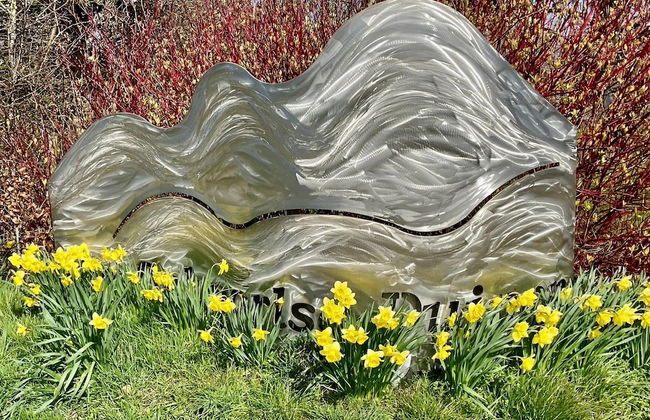 Holiday Home in Schoorl Near Sandy Beaches - Foto 19