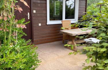 Ferien Langer Grund mitten im Wald - Foto 20