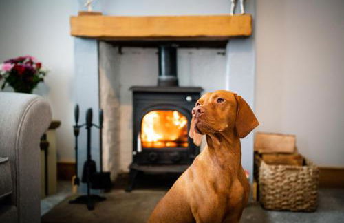 Cosy Cottage on edge of Lake District - Foto 29