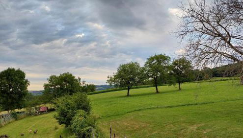 Gite du Hameau - Foto 5, Garden view
