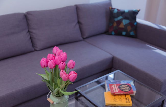 Shenkin Vilmar Apartments - Foto 58