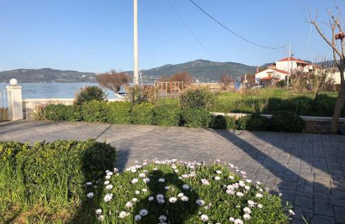 Modern house by the sea - Photo 8