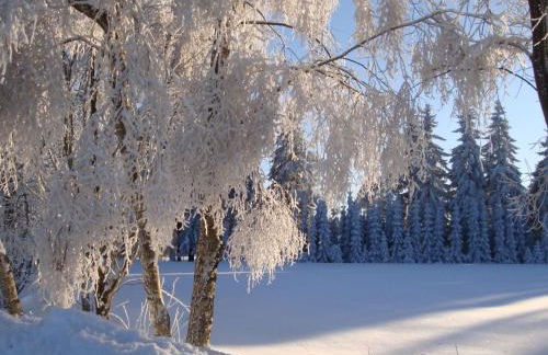 Holiday Home Vogtlandresidenz by Interhome - Foto 19