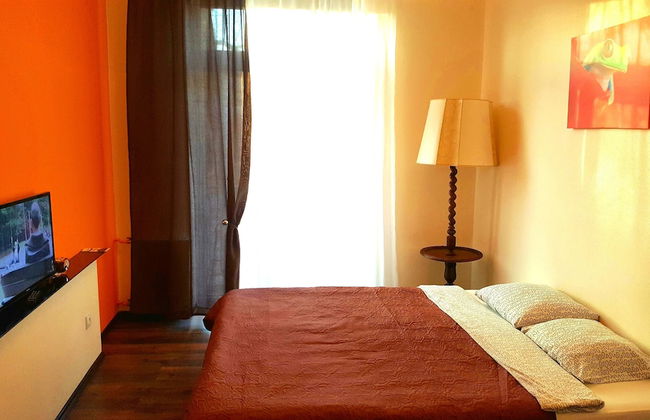 Orange Studio - Photo 5