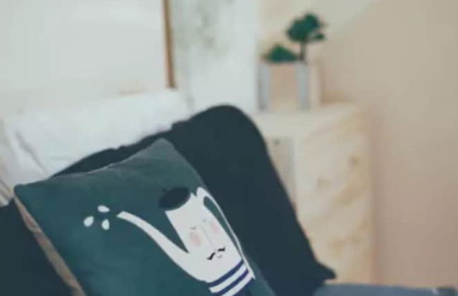 2 Bedroom Suite near Kensington Market - Unit 1 - Photo 12