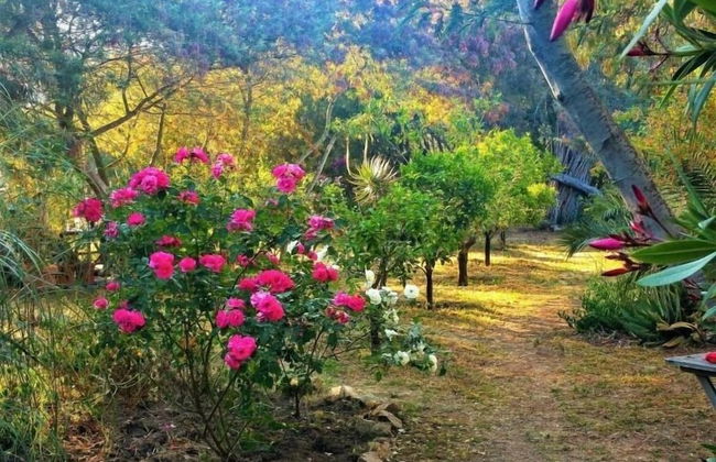 Casa Orsoni - Photo 72