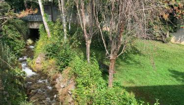 Residence Rokia - Foto 3