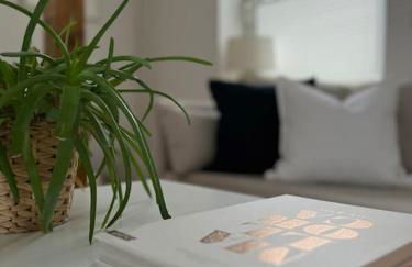 Wohlfühl-Apartment am Paradiesberg - Foto 12