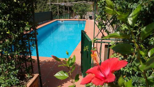 Luxury Villa, Pool, sea Access, Large Terraces, Stupendous Views - Foto 4, Garden, Other
