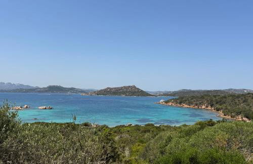 Aironi del Porto - Foto 42