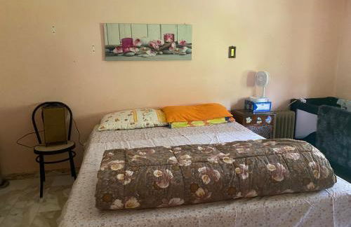 Woods House - Foto 46