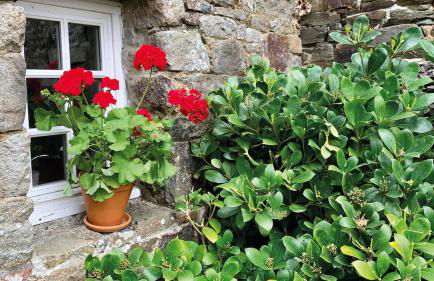 Manoir de la Bégaudière - Foto 50