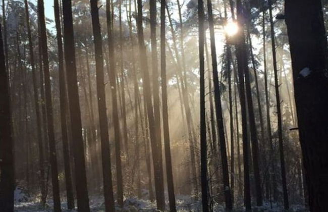 Holiday Apartment Trulich Hoff - Foto 12