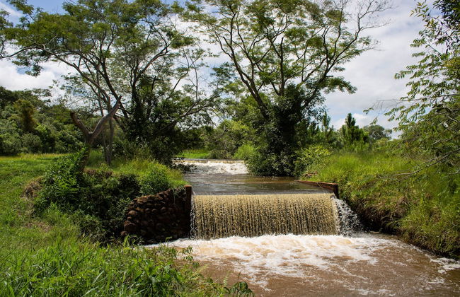 Vale das Águas Fazenda Resort - Photo 53