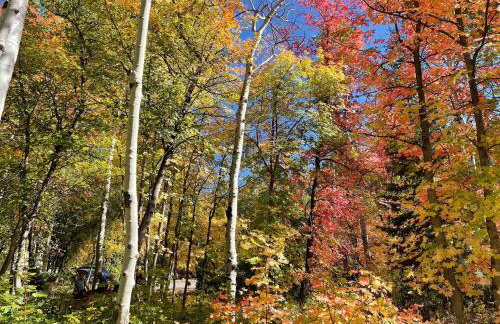 25-Bed, Amenity-Rich Estate in a Private Forest - Foto 79