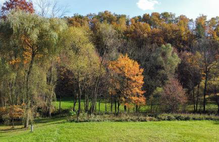 Domek Pod Lasem - Foto 23