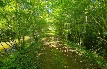 Le Moulin de l'O-L'Orle Nature formule 4 personnes - Foto 34