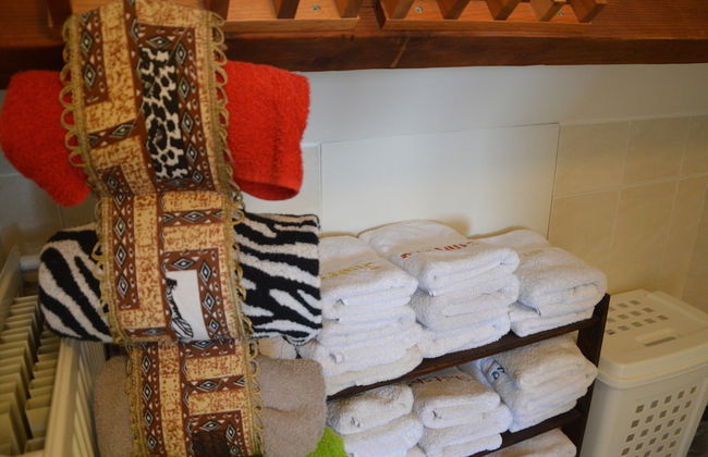 Holiday Home in Soerendonk With Garden - Foto 18