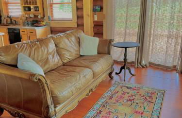 Smoky Mountains Blue Ridge Cabin Tennessee - Foto 11