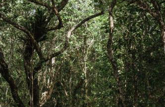 Bela Vista - Casa Beira Mar - Foto 17