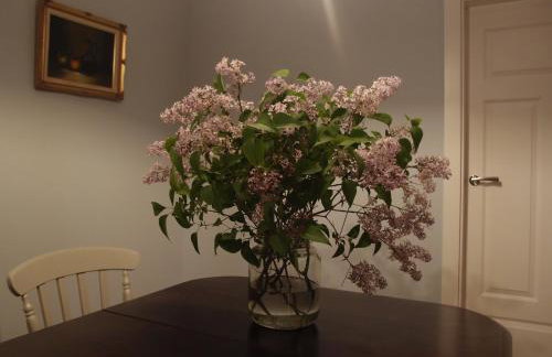 Jałówka - odpocznij na Podlasiu - Foto 5