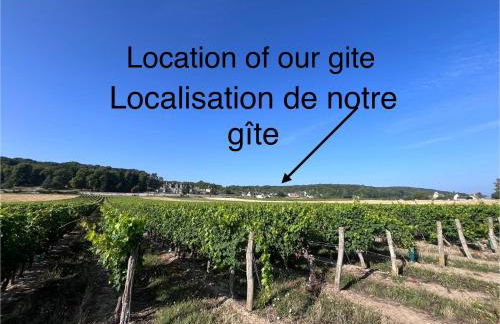 La Bergerie- Beautiful barn conversion in Chinon, Loire Valley - Foto 46