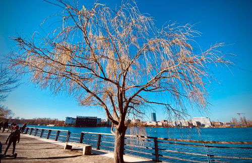 Schöne Aussichten mitten in Berlin - il sole - Photo 19