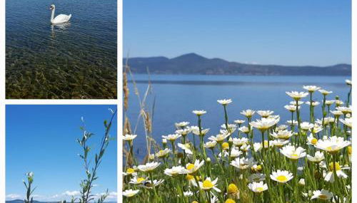 La casa nel vicolo - Foto 3