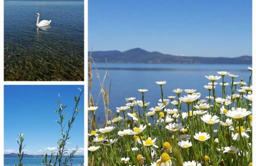 La casa nel vicolo - Foto 3