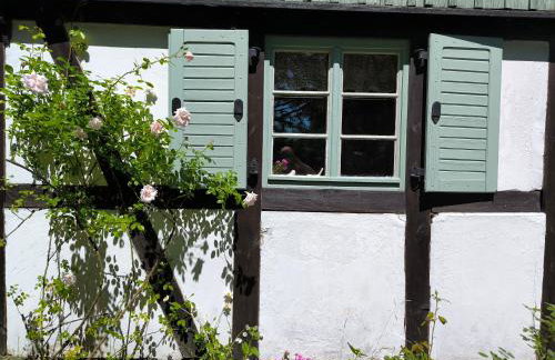 Małanka - kaszubska chëcz - Photo 27