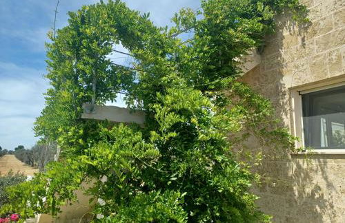 Zeituna Lodge a Porto Cesareo - Foto 19