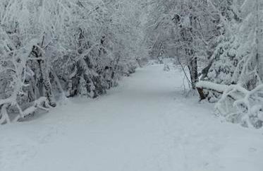 Ferienwohnung Feel Glueck - Foto 12