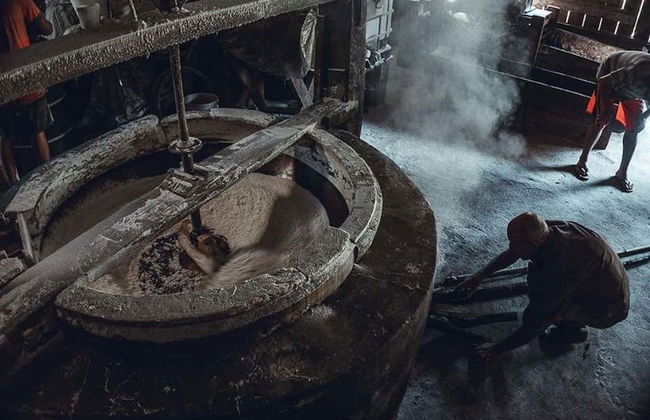 Visite sur le thème de la cachaça à Garopaba - Photo 3