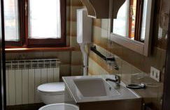 Stella alpina - Foto 11